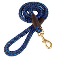 Cord nylon dog training leash for large dogs